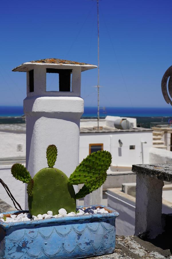 Vila Casabella - Con Terrazza Panoramica Ostuni Exteriér fotografie